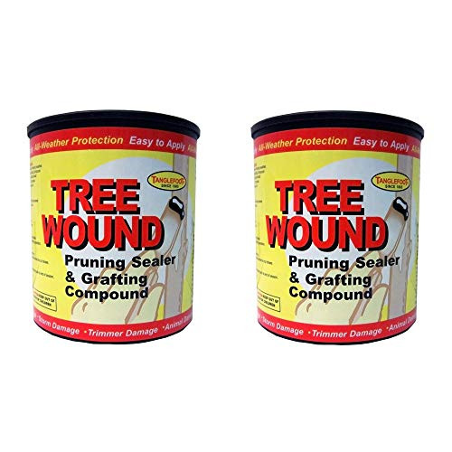 Ortho Tanglefoot Tree Wound Pruning Sealer  and  Grafting Compound 16 OZ - 2 Pack
