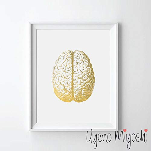 Human Brain II Gold Foil Art Print Human Brain Anatomy Gold Print Human Brain Anatomy Gold Wall Art Decor  08 inch  x 10 inch  UNFRAMED