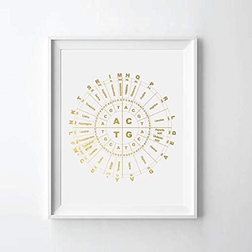 Genetic Code Chart Gold Foil Print  Genetic Code Chart Art Print  Genetic Code Gold Print  08 inch  x 10 inch  UNFRAMED