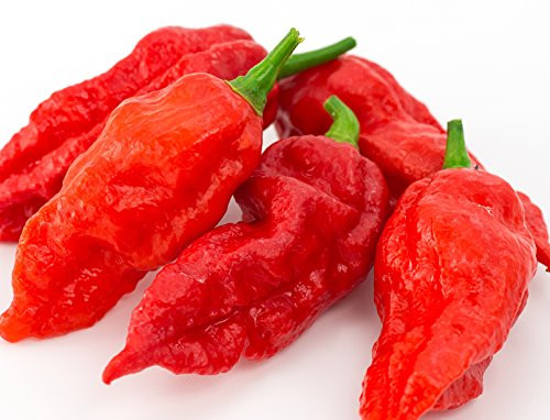 Ghost Pepper Seeds- 25 Plus inch Bhut Jolokia inch  by Ohio Heirloom Seeds