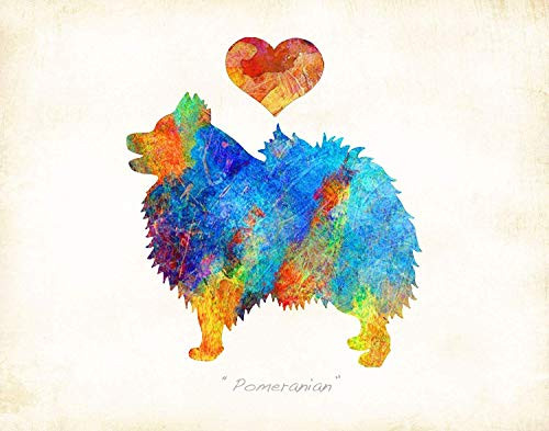 Pomeranian Dog Breed Art Print by Dan Morris