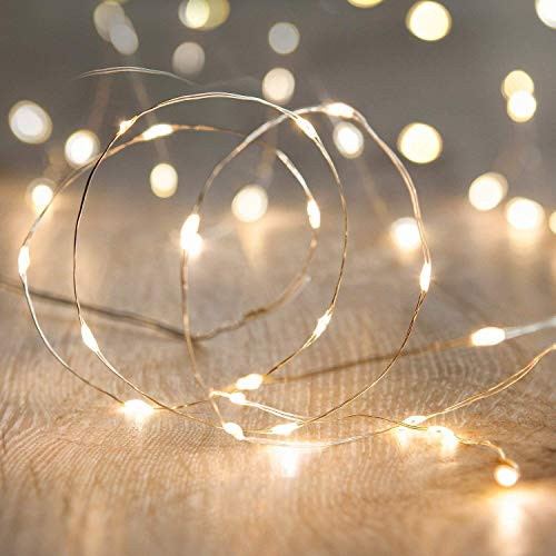 Tasodin led Fairy Lights Waterproof 16.4ft String Lights Battery Operated for Wedding  Home  Garden  Party  Christmas Decoration  1pc  Warm White 1pc