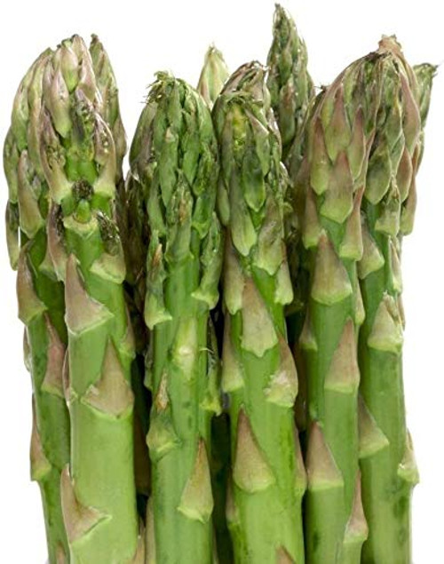Asparagus Mary Washington Seeds for Planting 1 G  Non-GMO  American Seeds  Heirloom  Asparagus officinalis