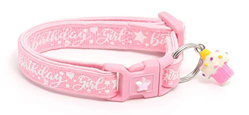 Pugs2Persians Birthday Girl on Light Pink Cat Collar - Safety - Breakaway - Charm and Bell Pugs2Persians Birthday Girl on Light Pink Cat Collar - Safety - Breakaway - Charm and Bell
