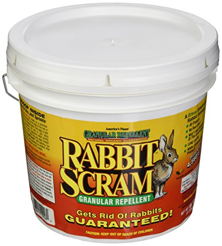 Enviro Pro 11006 Rabbit Scram Repellent Granular White Pail, 6 Pounds