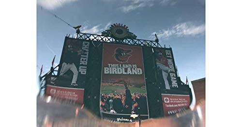 Birdland 11x14 Photograph Print- Baltimore Orioles Camden Yards Baseball