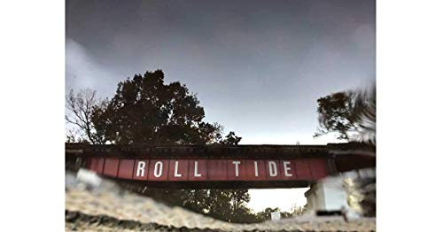 Alabama Roll Tide Photograph 11x14 Print-Grad Tuscaloosa Bama Crimson Tide Roll Tide Alabama NCAA Football Alabama Roll Tide Photograph 11x14 Print-Grad Tuscaloosa Bama Crimson Tide Roll Tide Alabama NCAA Football