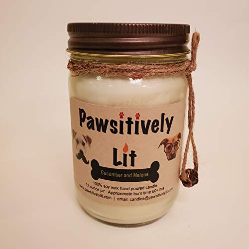 Cucumber and Melons Scented 12 Ounce Pawsitively Lit 100 Percent Soy Wax Mason Jar Candle
