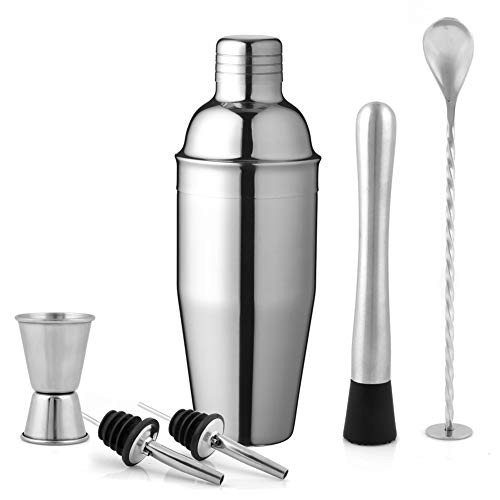 Delidge Cocktail Shaker Set Bartender Kit?25 oz Stainless Steel Martini Shaker Set Bartender Kit with Cocktail Mixing Spoon Jigger Muddler 2 Liquor Pourers?6 Piece Drink Shaker Bar Tools