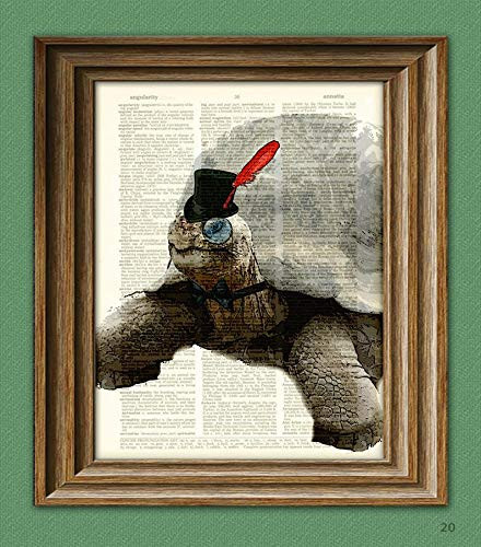 Galapagos Tortoise Art Print Greg In Top Hat Turtle Illustration Beautifully Upcycled Dictionary Page Book Art Print