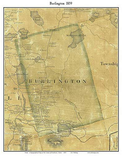 Burlington 1859 Old Town Map with Homeowner Names Maine Madagascal Pond - Reprint Genealogy Penobscot County ME TM