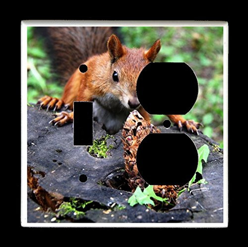 Combo Single Toggle Single Duplex Outlet Light Switch Plate Cover - Squirrels - Squirrel