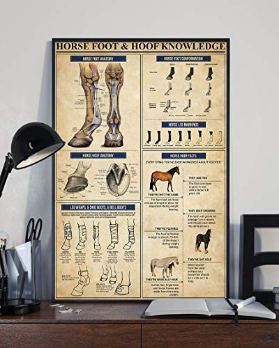 Horse Foot and hoof Knowledge Horse Foot Anatomy Poster  16 inches x 24 inches