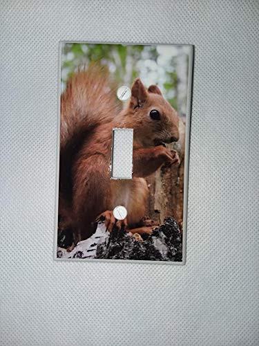 Single Toggle  1-toggle  Light Switch Plate Cover - Squirrels - Squirrel