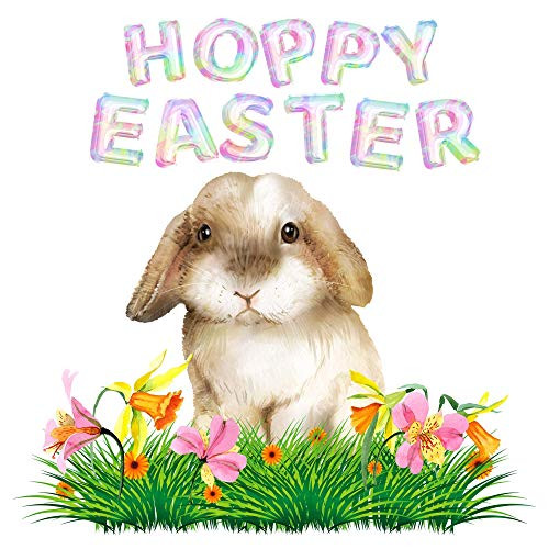 Hoppy Easter Bunny Sublimation Transfer  Easter Sublimation  Rabbit Sub Image  Spring  Easter Bunny  Bunny Sublimation  Rabbit  Ready to Use