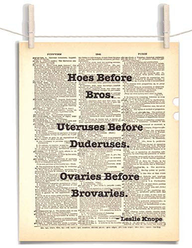 Parks and Recreation Leslie Knope Ovaries Before Brovaries Quote 8.5 x 11 Vintage Dictionary Page Unframed Art Print