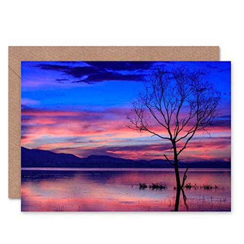 Wee Blue Coo Sunset Water Tree Photography Blank Greetings Birthday Card Art