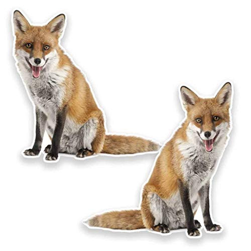 Ginger Fox Vinyl Sticker Decal Laptop Car Bumper Sticker Travel Luggage Car iPad Sign Fun 5 inch