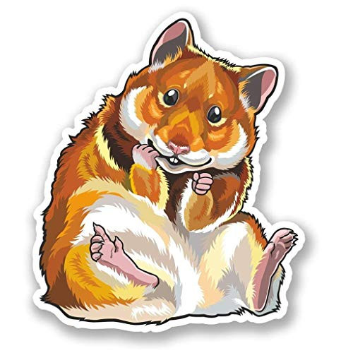Hamster Vinyl Sticker Decal Laptop Car Bumper Sticker Travel Luggage Car iPad Sign Fun 5 inch Hamster Vinyl Sticker Decal Laptop Car Bumper Sticker Travel Luggage Car iPad Sign Fun 5 inch