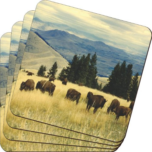Rikki Knight Bison Bulls in Yellow Field Design Soft Square Beer Coasters (Set of 2), Multicolor