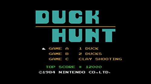 Duck Hunt  - Wii U  Digital Code