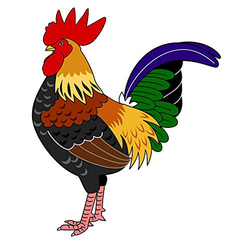 EW Designs Magnet Strong Colorful Rainbow Rooster Magnetic Vinyl Magnet Bumper Sticker  4 inch Tall