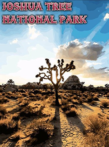 MAGNET Joshua Tree National Park California United States Travel Advertisement Magnet