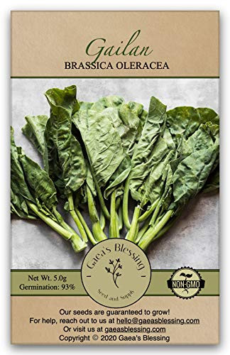 Gaea s Blessing Seeds - Gailan Seeds 1000 plus Non-GMO Seeds Chinese Broccoli Chinese Kale Brassica Oleracea Kailaan Kai LAN 93 percent Germination Rate Net Wt. 5.0g