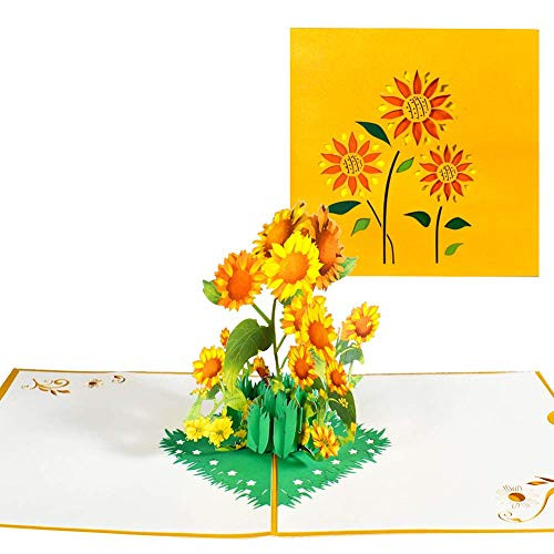 Magic Ants Pop Up Flower Card  3D Sunflower Pop Up Greeting Cards  for Mother s Day  Spring  Father s Day  Graduation  Birthday  Wedding  Anniversary  Thank You  Get Well  Sympathy  All Occasion