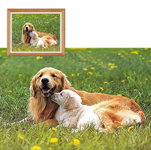 1000 Pieces Puzzles  Jigsaw Puzzle for Adults 1000 pcs Jigsaw Puzzle  Educational Intellectual Decompressing Fun Game for Kids Adults Toy  Dog