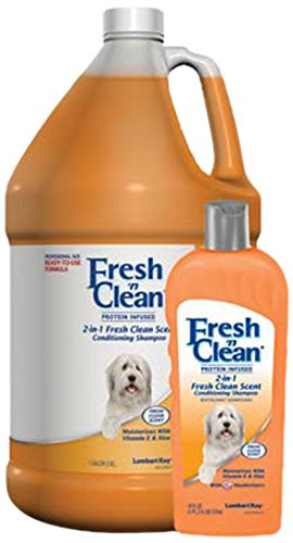 Fresh 'N Clean 2in1 Shampoos Fresh Clean 18oz