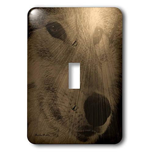 3dRose LLC lsp_8379_1 Sun Spirit Single Toggle Switch