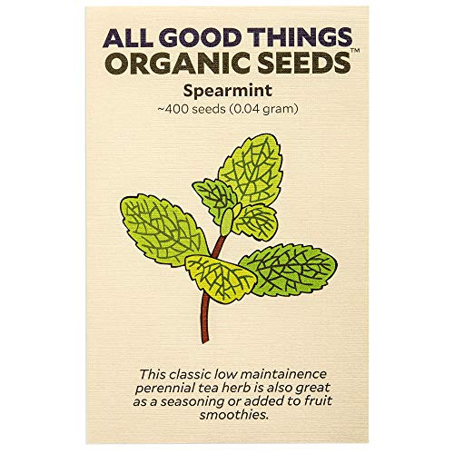 Spearmint Seeds  ~400   Certified Organic  Non-GMO  Heirloom  Open Pollinated Seeds from The United States