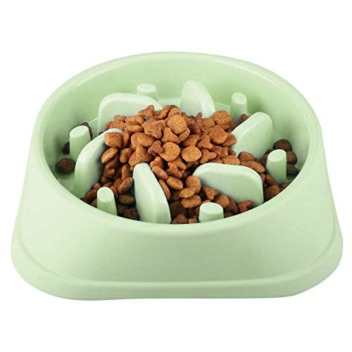 CAM2 Dog Bowl Slow Feeder for Slow Down Eating Training  Anti-Choking Dog Cat Food Bowl  Non-Toxic Eco-Friendly Pet Slow Feed Bowl  Green