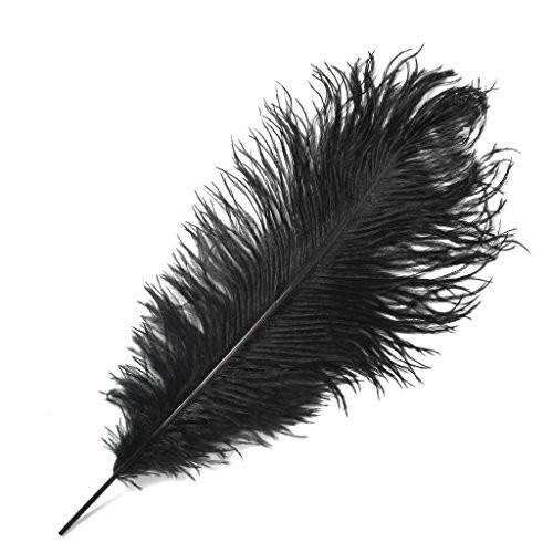 Ostrich Feathers,Hgshow 10pcs Feather 16-18 inch(40-45cm) for Home Wedding Decoration