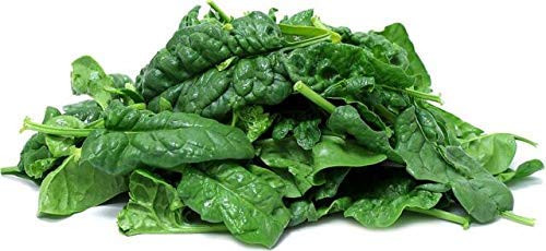 Freedom Seeds - 2 000 Spinach Seeds for Planting  Bloomsdale Long Standing