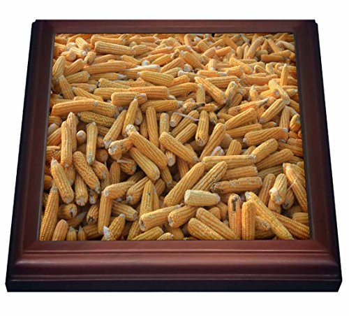 3dRose Sun Dried Sweet Corn Trivet with Ceramic Tile  8 inch by 8 inch  Brown