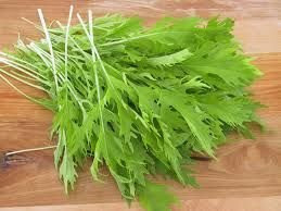 Mustard Mizuna Great Heirloom Vegetable 600 Seeds