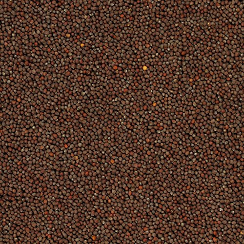 The Spice Lab No. 155 - Whole Brown Mustard Seeds - Kosher Gluten-Free Non-GMO All Natural Spice - 4 oz Resealable Bag The Spice Lab No. 155 - Whole Brown Mustard Seeds - Kosher Gluten-Free Non-GMO All Natural Spice - 4 oz Resealable Bag