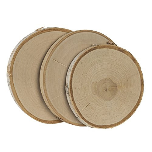 Walnut Hollow 3-Pack Large Birch Round for Home Decorating & Rustic Weddings