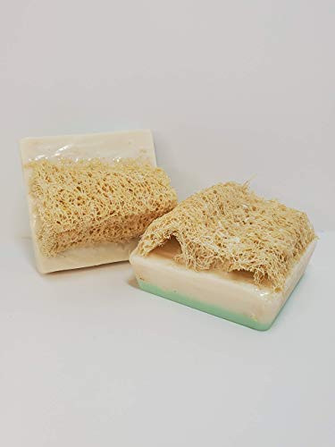 Luffa Soap Eucalyptus Rosemary Exfoliating Soap Made With Natural Loofah Sponge Made in USA