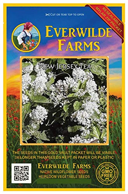 Everwilde Farms - 100 New Jersey Tea Native Wildflower Seeds - Gold Vault Jumbo Seed Packet