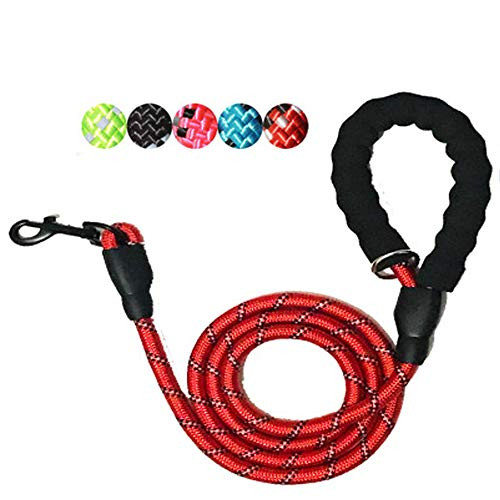Woonsoon 5 FT Strong Dog Leash with Comfortable Padded Handle and Highly Reflective Threads Dog Leashes for Medium and Large Dogs  Red