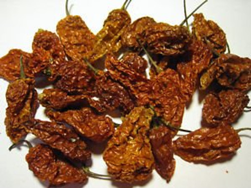 Ghost Chilli Bhut Jolokia  Sun Dried  15 Pods Ghost Chilli Bhut Jolokia  Sun Dried  15 Pods