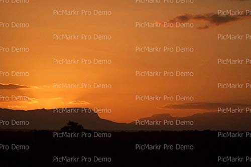 1.25 inch Round  48 Per Sheet  - Sun Behind Hills  and  Trees Birthday - D21010 - 2D Edible Cake Cupcake Party Topper