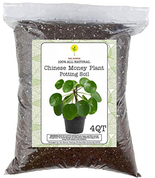 Chinese Money Plant Planting Soil  Hand Blended All Natural Potting Mix for Planting  Growing  or Repotting Chinese Money Plant  Potting Soil for Chinese Money Plant Small Batch Hand Blended 4QT Bag