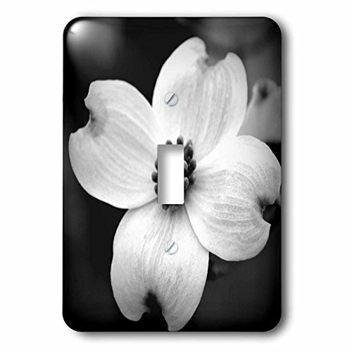3dRose lsp_51757_1 Black and White Dogwood Flowers Single Toggle Switch