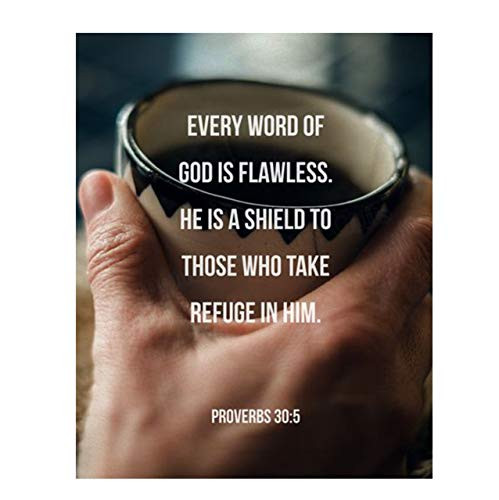 inchWord of God is Flawless  and  He is a Shield inch- Proverbs 30 5- Bible Verse Wall Art-8x10 inch-Scripture Wall Print-Ready to Frame. Casual Typographic Photo Design. Home  and  Office Decor. Perfect Christian Gift.