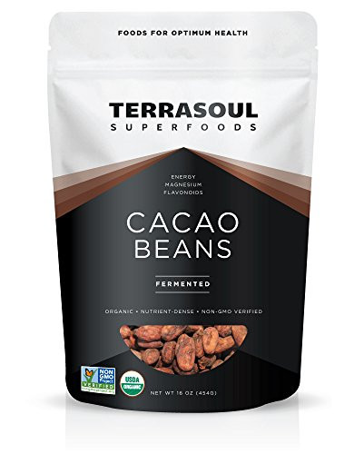 Terrasoul Superfoods Raw Organic Criollo Cacao Beans  1 Pound