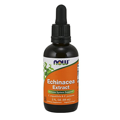 NOW Supplements  Echinacea Extract Liquid with Dropper  Immune System Support*  2-Ounce